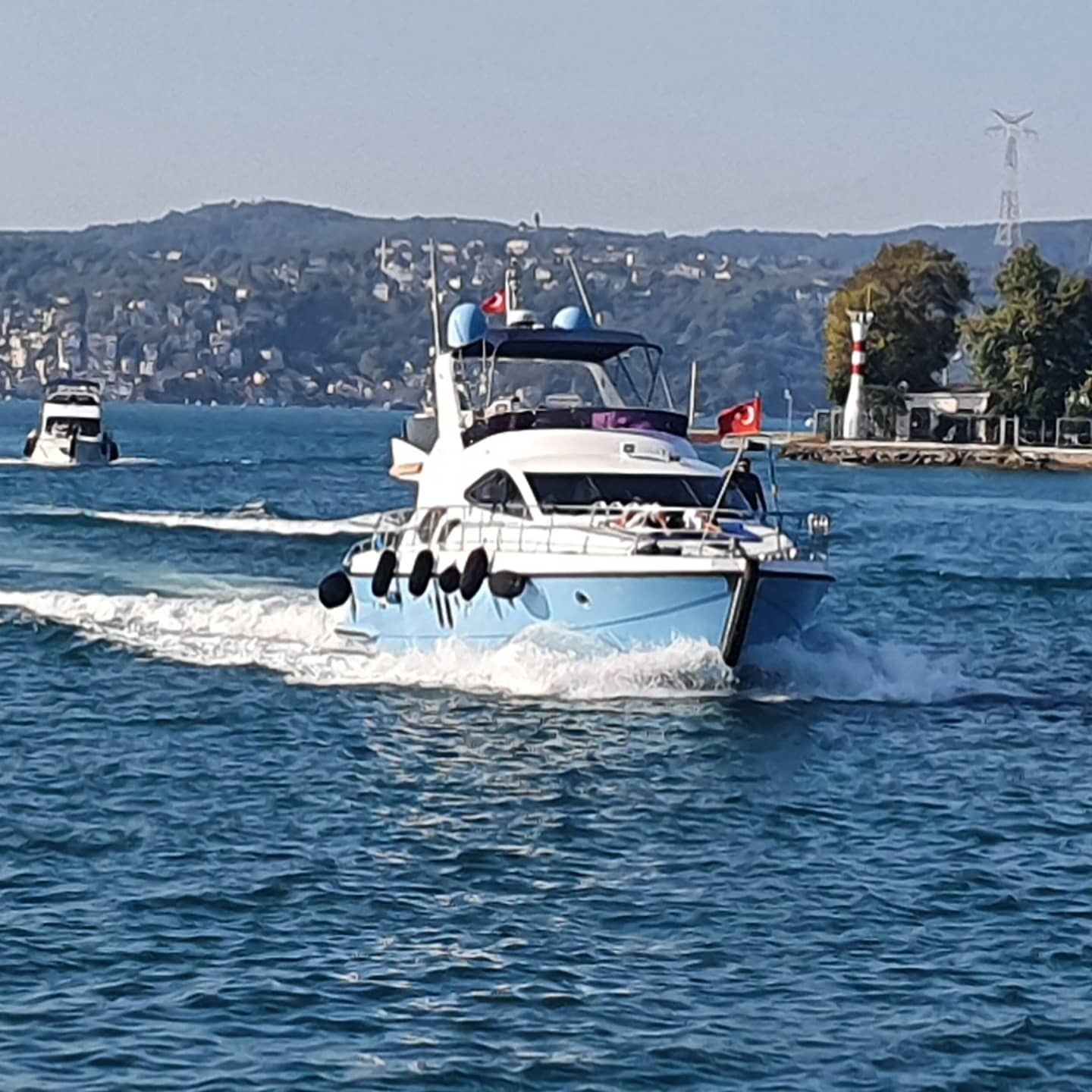 Yacht 203
